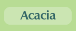 acacia