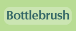 bottlebrush